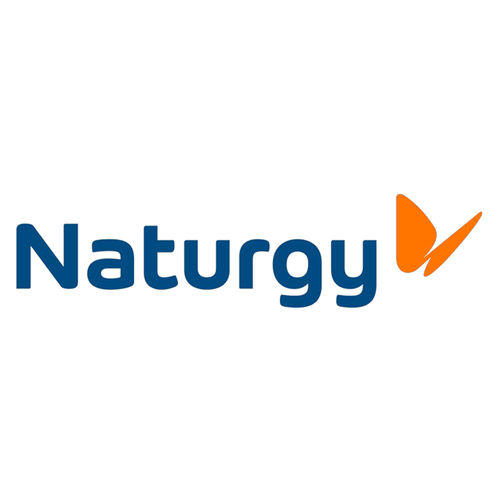 Logo Naturgy